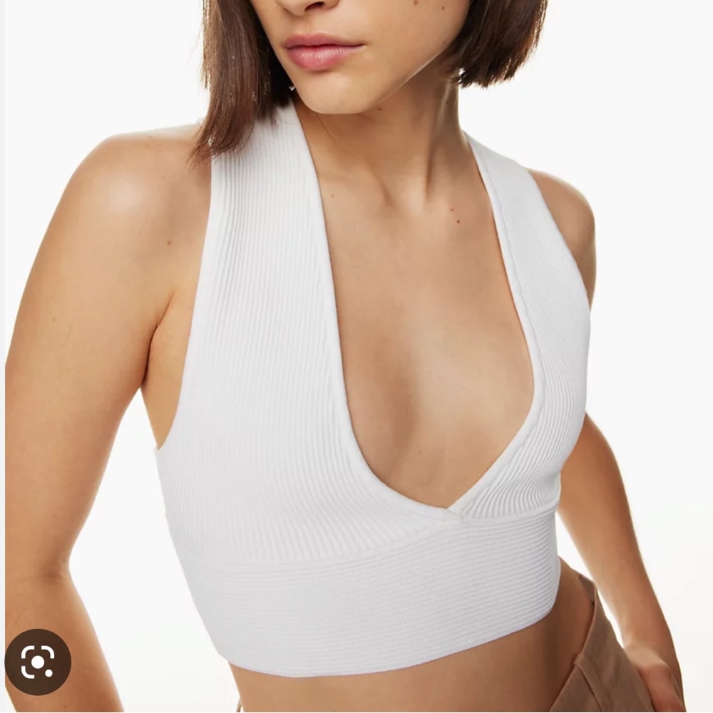 NWT aritzia babaton shirt